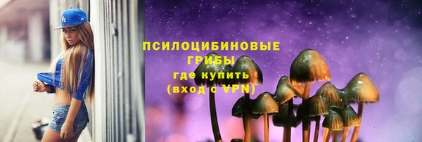 гидра Аркадак
