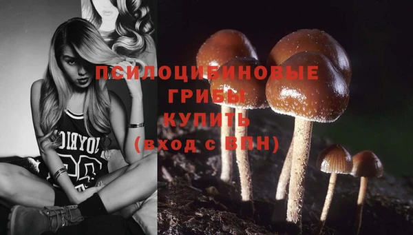 гидра Аркадак