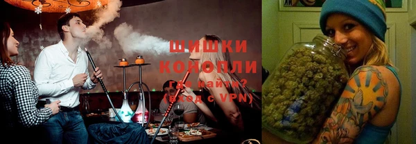 гидра Аркадак